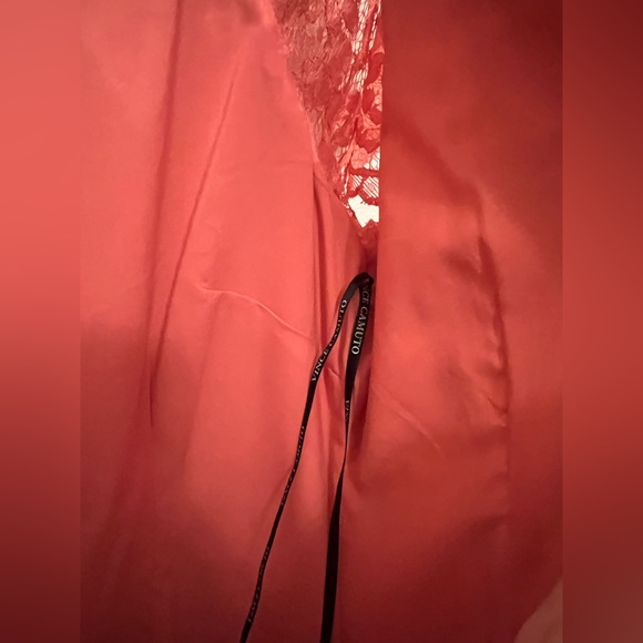 Vince Camuto Lace Dress - Picture 12 of 16